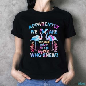 Apparently We're Trouble When We Are Cruising Together 2023 T-Shirt - Ladies T-Shirt