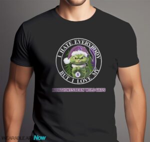 Green Cat With Santa Hat I Hate Everybody But I Love Northwestern Wildcats Christmas T-shirt - Men Black T-Shirt