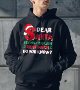 2024 Funny Christmas Santa I Can Explain Shirt Gift - Men Black Hoodie