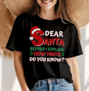 2024 Funny Christmas Santa I Can Explain Shirt Gift - Women Black T-Shirt