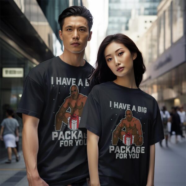 I Have A Big Package For You Christmas Gift Christmas Shirt Product Photo 1